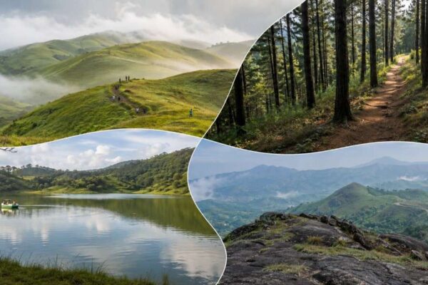 Things to Do in Vagamon Through Meadows, Wind and Hill Roads